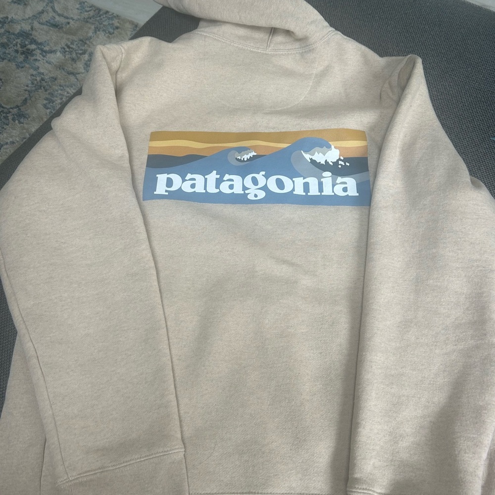 Men’s Patagonia sweatshirt.